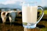 Новая программа позволит покупать в Дубне натуральное молоко