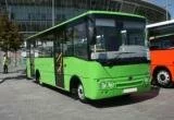 Семь новых автобусов уже циркулируют по Дубне